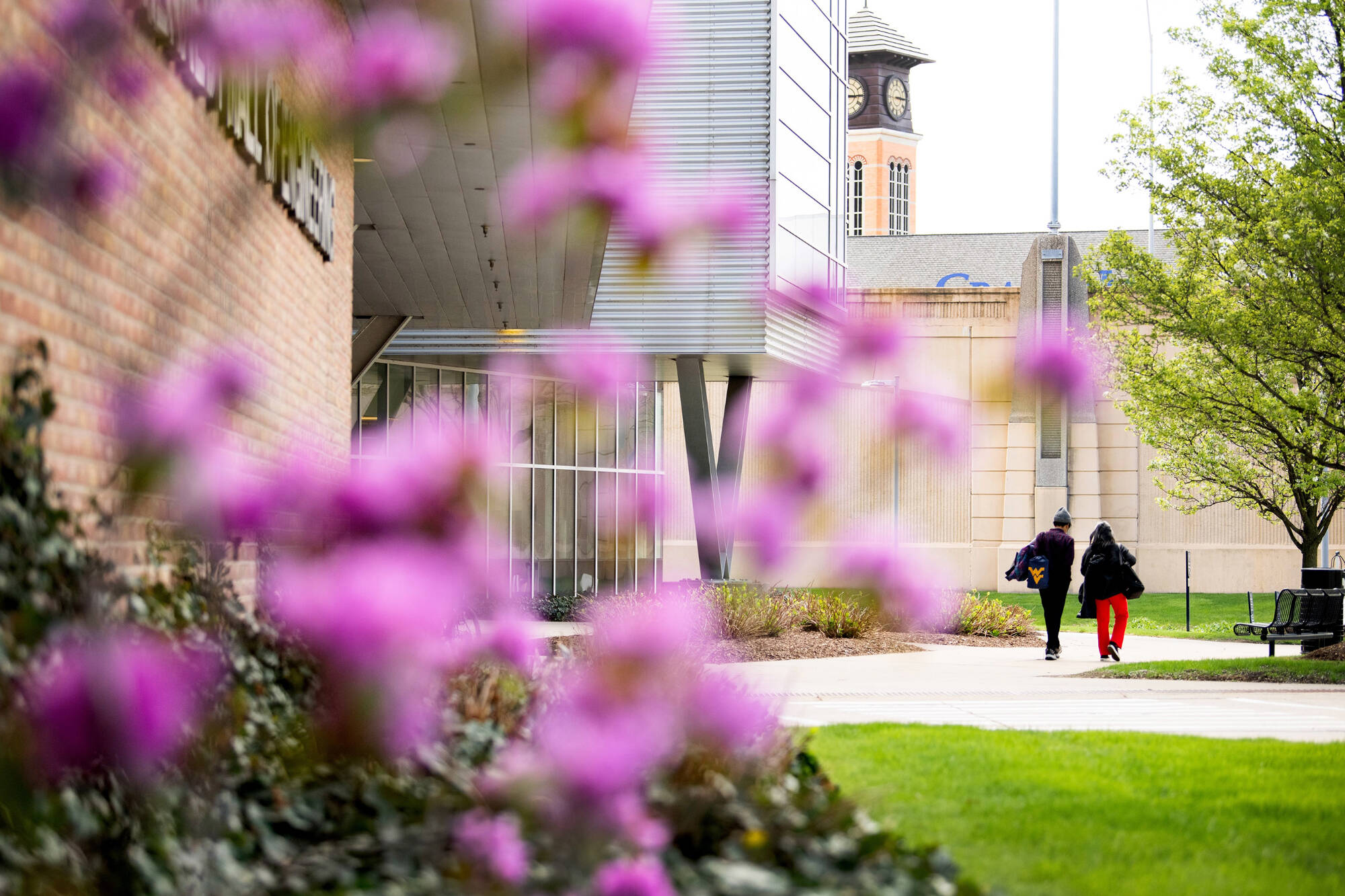 Two students walking near the Keller Engineering Lab in Spring, with blossoms in the foreground.